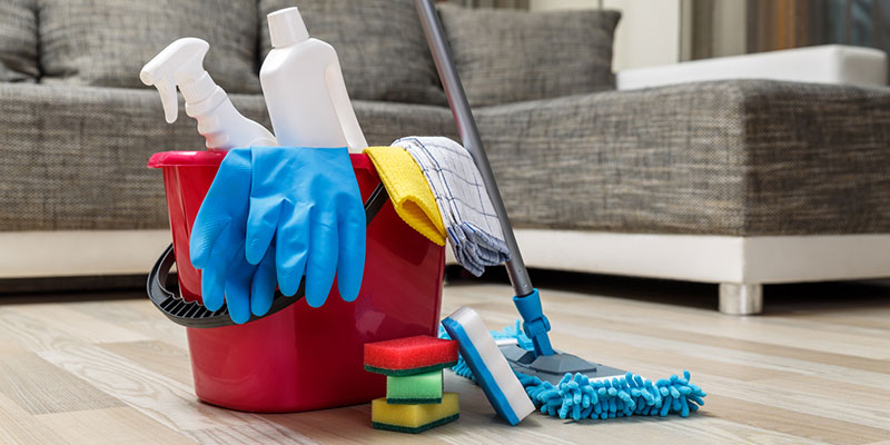 Professional Cleaning Services
