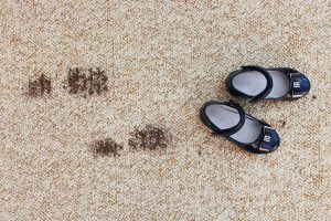 Top Signs That You Need Professional Carpet Cleaning Services