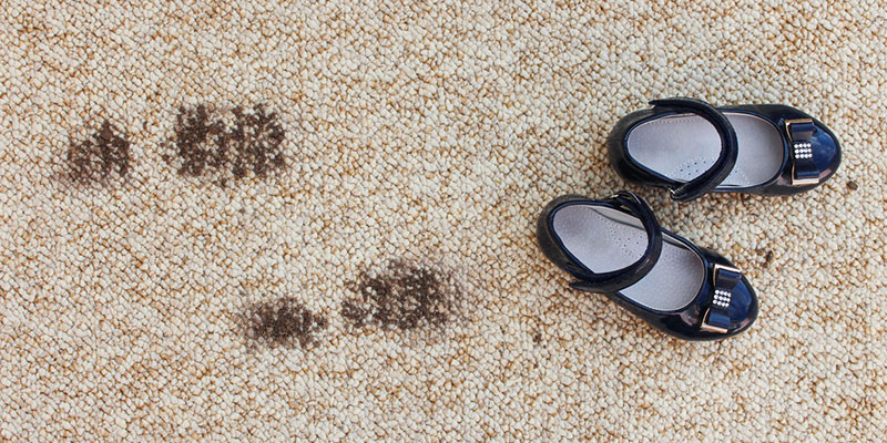 Top Signs That You Need Professional Carpet Cleaning Services